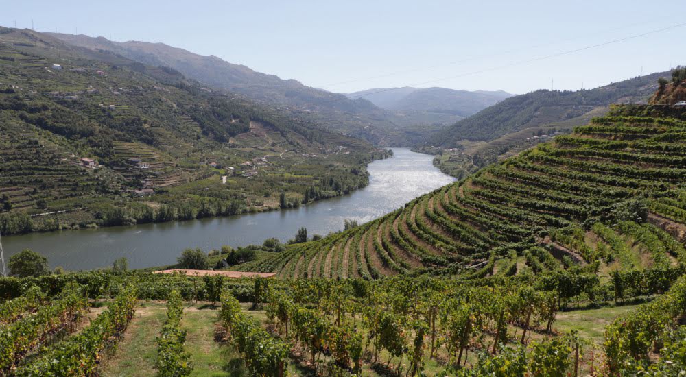 Quinta da Rede - Terroir e Castas